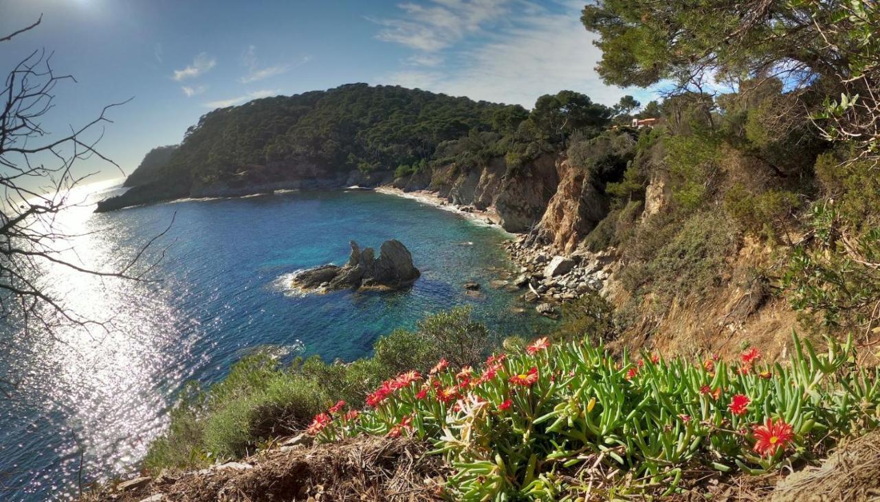Studio Proche Port Et Plages, Piscine Йер Экстерьер фото